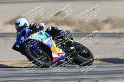 media/Oct-13-2025-Moto Forza (Mon) [[a66d839500]]/3-B Group/Session 4 Turn 4 Tree of Life/